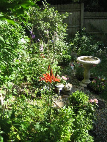 Garden 072207_028