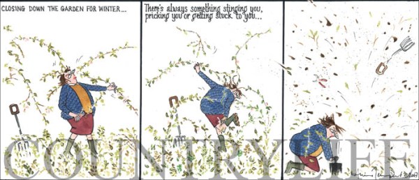 22-11closingdowngarden