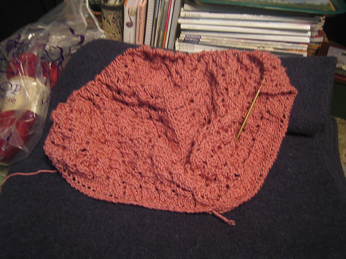 swallowtail_20080310_002