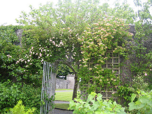 Portumna Castle Gardens-03.JPG